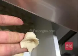 Illustration of homemade wonton stew 9