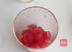 Cranberry Illustration of how to make soda water 5