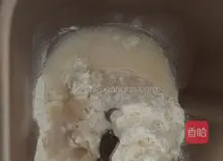 Butterfly Cookies Recipe Illustration 1