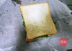 Pocket Sandwich Recipe Illustration 16