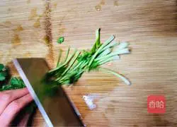 Illustration of how to make spicy chicken breast 4