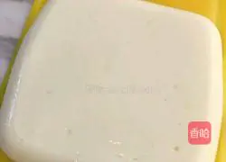 Illustration of teaching how to make coconut milk cubes 11