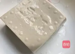 Tomato, Tofu and Meatball Soup Recipe Illustration 4