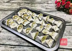 Fresh Meat Wonton Recipe Illustration 10