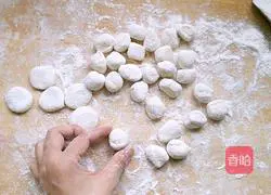 Illustration of how to make pork and leek dumplings 14