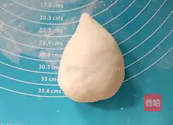 Illustration of how to make hedgehog custard buns 4