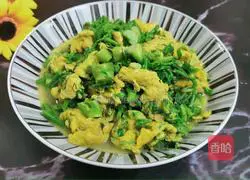 Illustration of how to make scrambled eggs with spinach buds 12