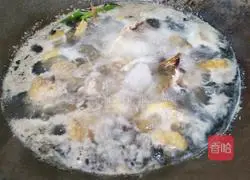 Cordyceps Flower Chicken Soup Recipe Illustration 4