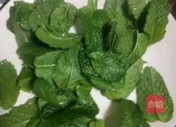 Big Rose Mint Tea Recipe Illustration 2