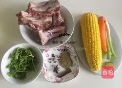 Carrot, Corn and Spare Ribs Soup Illustration of how to do it 1