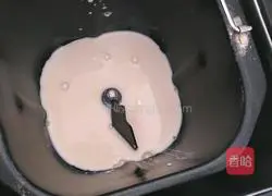 Honey and Red Date Toast Bread (Bread Machine) Recipe Illustration 2