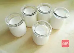 Illustration of making homemade mango yogurt 5