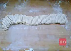 Illustration of hand-rolled noodles 5