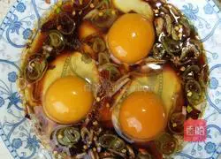 Steam Illustration of laying eggs 4