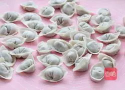 Illustration of handmade fresh meat wontons 10