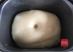 Hot dog buns recipe 5