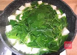 Illustration of how to make mulberry sprout tofu soup 6