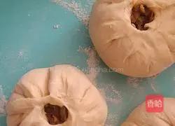 Vegetarian Buns Illustration of how to do it 4