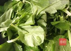 Illustration of how to make cabbage buns 1