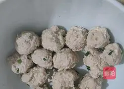 Winter Melon Meatball Soup (Boiled Meatballs) Recipe Illustration 14