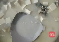 Illustration of how to make crucian carp tofu soup 5