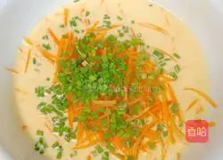 Carrot Egg Pancake Recipe Illustration 10