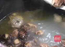 Gardenia chicken soup recipe 8