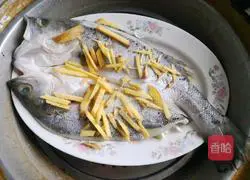 Illustration of steamed sea bass 4