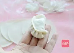 Illustration of how to make dumplings stuffed with pork and pickled cabbage 10