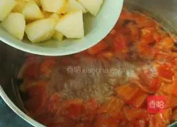 Illustration of how to make apple tomato beef soup 9