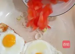 Illustration of tomato soup noodles 2