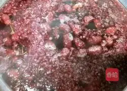 Illustration of how to make mulberry juice 5