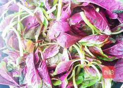 Red Amaranth and Preserved Egg Soup Recipe 5