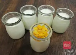 Illustration of how to make homemade mango yogurt 9