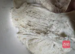 Illustration of how to make Chinese whole wheat toast 1