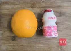 Yakult Orange Juice Recipe Illustration 1