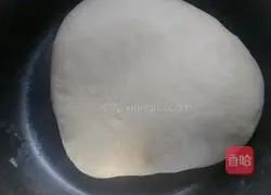 Illustration of how to make dumplings stuffed with pork and green onions 1