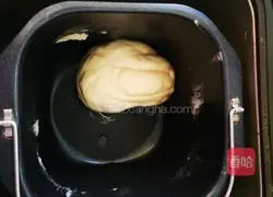 Illustration of making mushroom buns 1