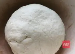 Illustration of how to make vegetarian buns 2