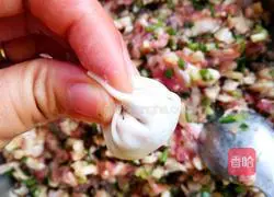 Illustration of how to make mushroom wontons 10