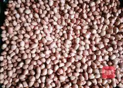 Illustration of how to make fried noodles (tea oleifera) 4