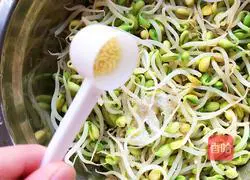 Cold soybean sprouts Practice illustration 7