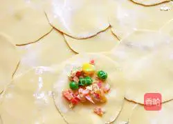 Illustration of how to make handmade dumplings 10