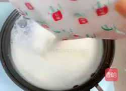 Mango Milk Jelly Recipe Illustration 3