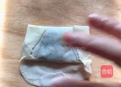 Illustration of how to make pan-fried Chinese bean paste spring rolls 4
