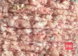 Illustration of how to make wontons 6