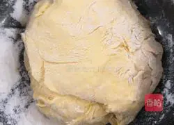 Illustration of handmade dumplings 7