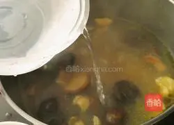 Coconut Mushroom Chicken Soup Illustration 14