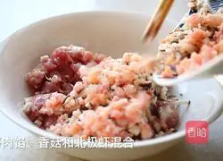 Illustration of Canadian Arctic Shrimp Steamed Steamed Shaomai 2