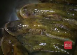Illustration of how to make braised Lengbeng fish (sea catfish) 1